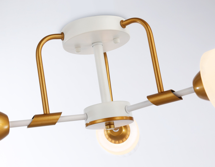 TR303321 Ambrella