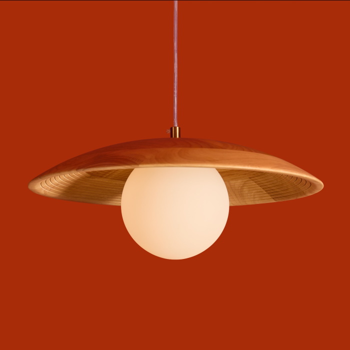 FR5589PL-01T