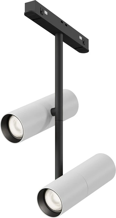 TR005-4-2X12W-DS-BW Maytoni