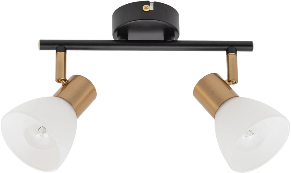 A3117PL-2BK Arte Lamp