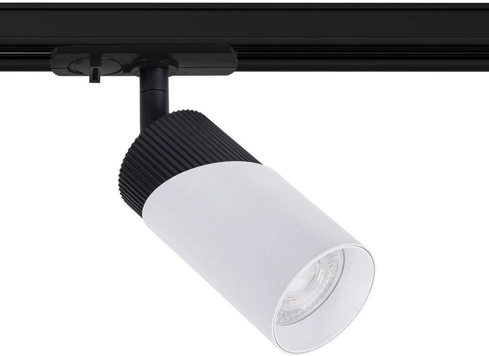 A5461PL-1WH Arte Lamp
