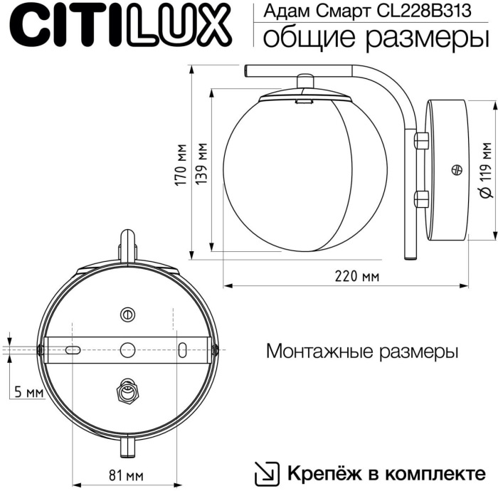 CL228B313 Citilux