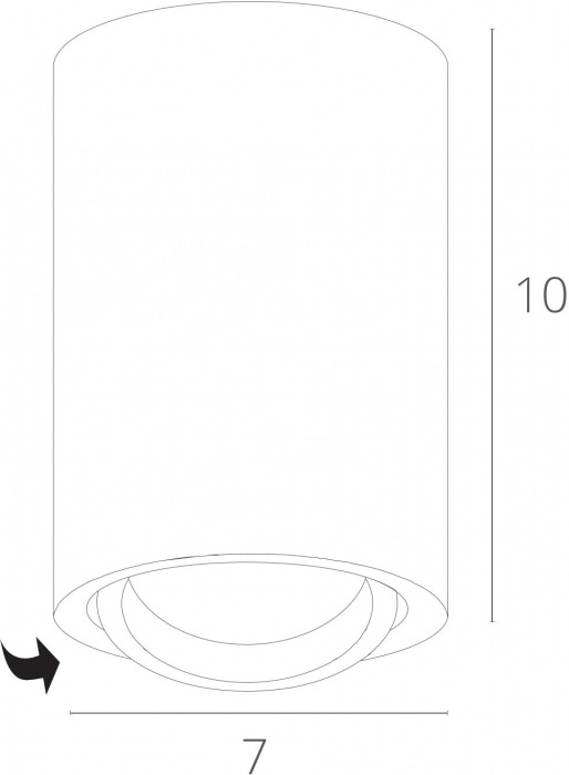 A1560PL-1GY Arte Lamp