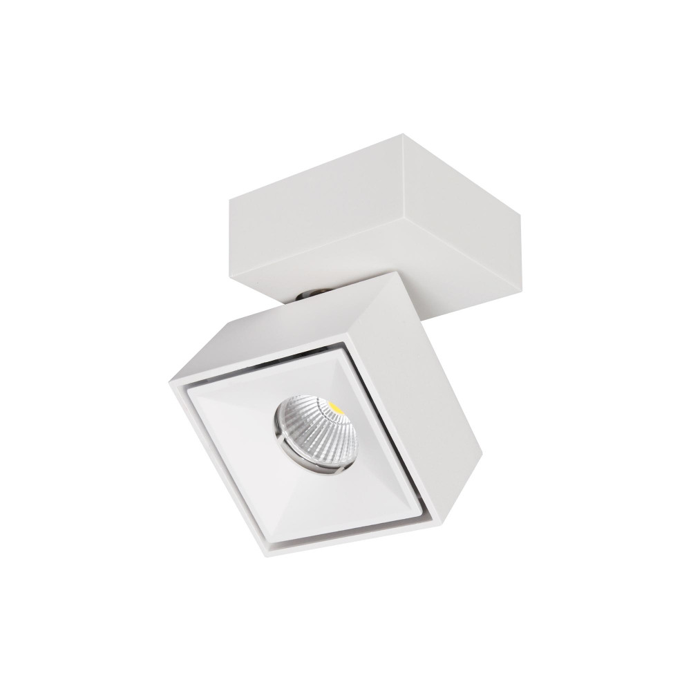 CL558020N Citilux