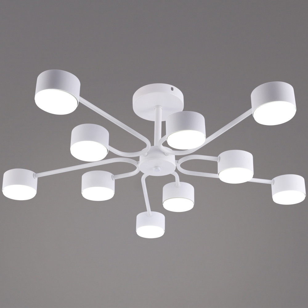 03708-0.3-10 WT GX53_