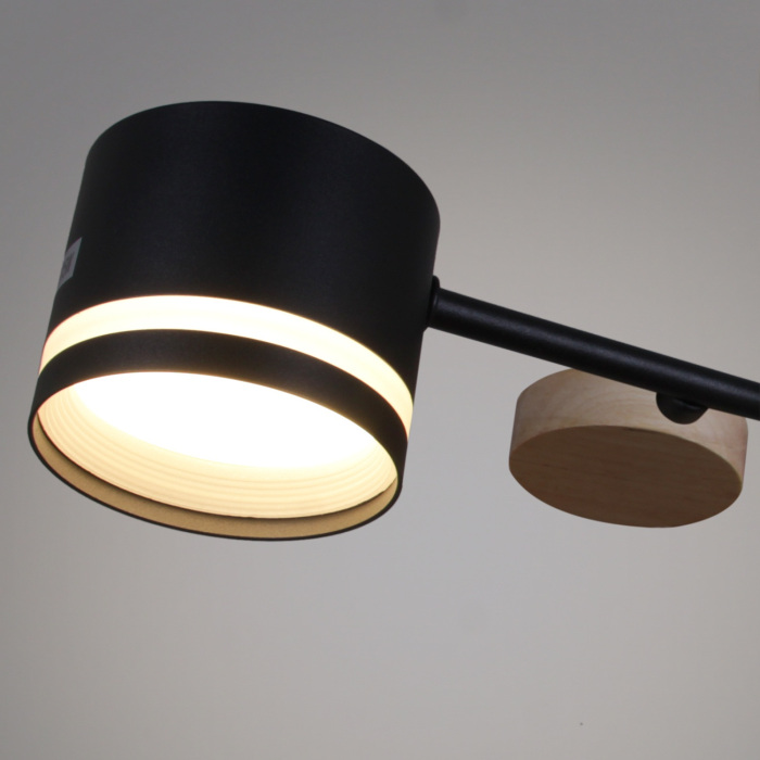 68730-0.3-10 GX53 BK+WOOD_