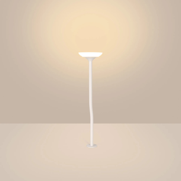 050671 Arlight