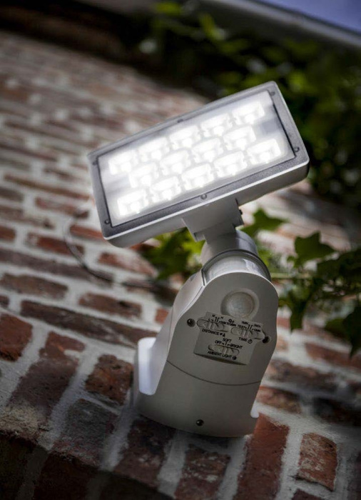 W6295 W Oasis Light