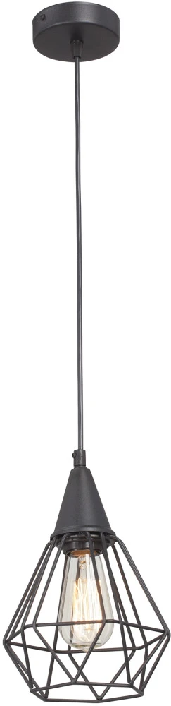 V4728-1/1S Vitaluce