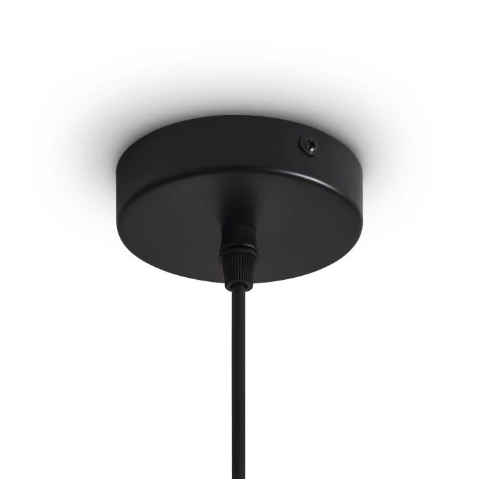 FR5503PL-01B1