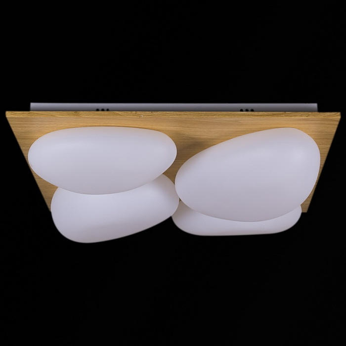 10010-0.3-80W AEROLITE_