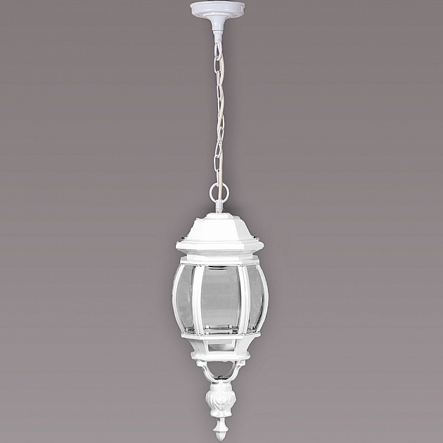83405L W Oasis Light