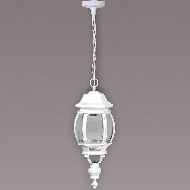 83405L W Oasis Light