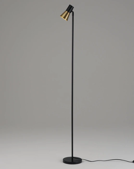 V11328-1F Moderli