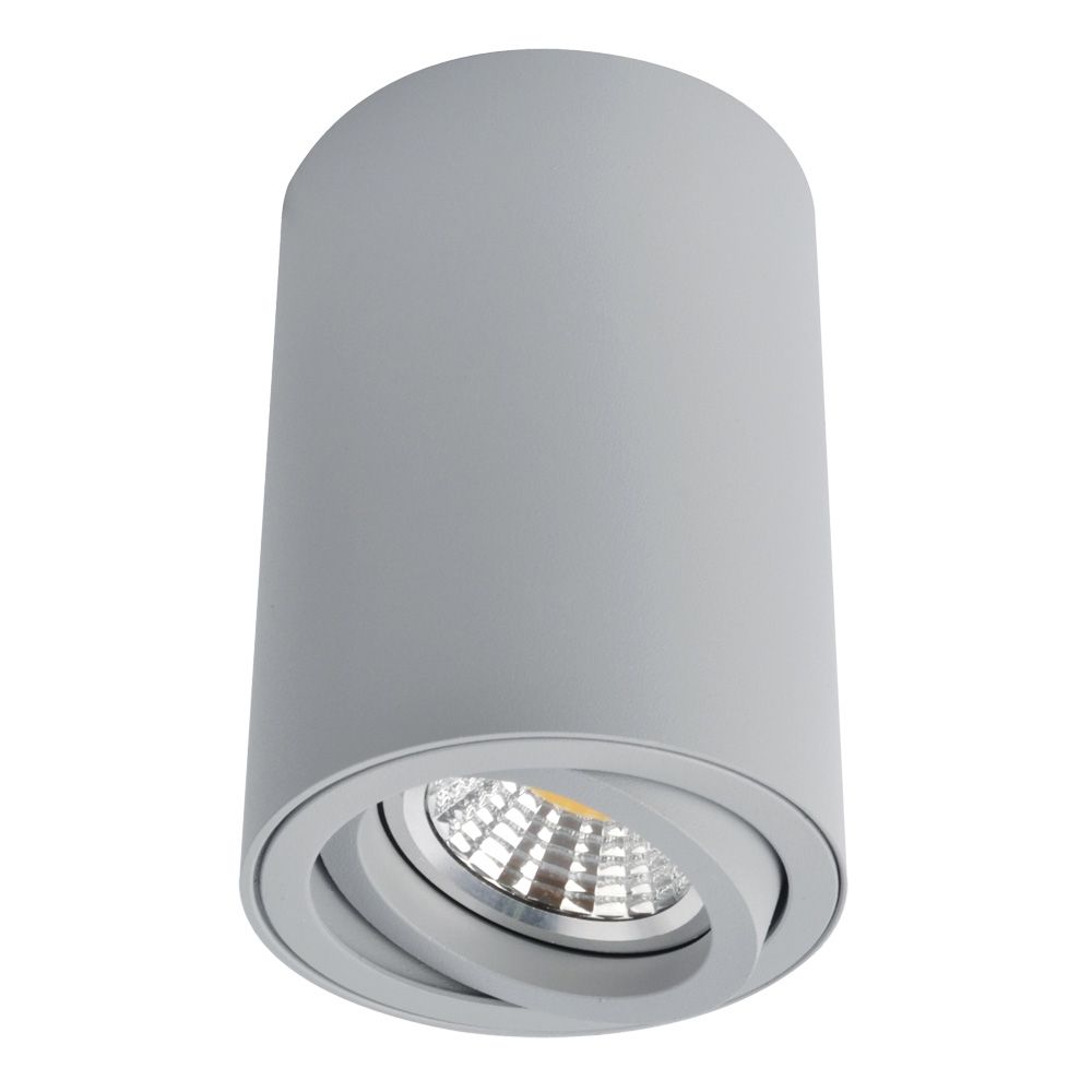 A1560PL-1GY Arte Lamp