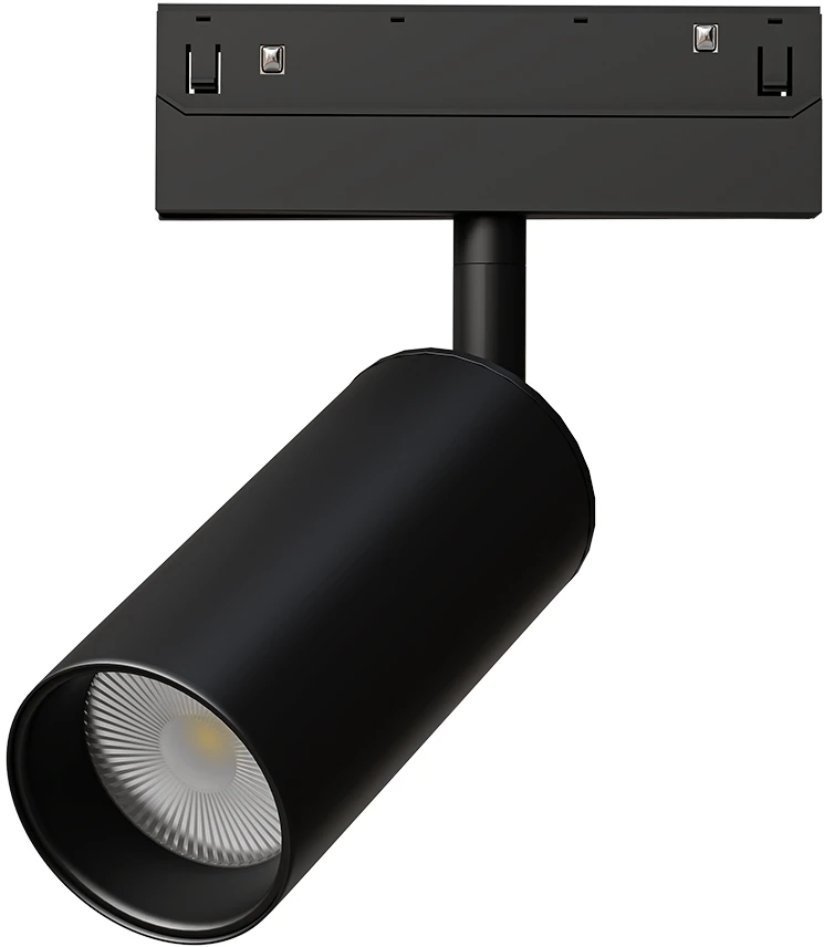 A4691PL-1BK Arte Lamp