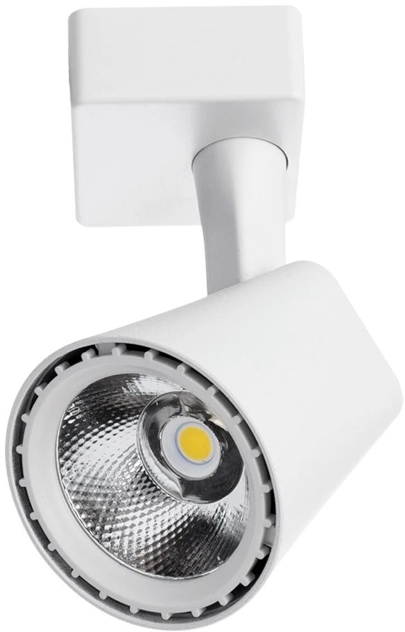 A1810PL-1WH Arte Lamp