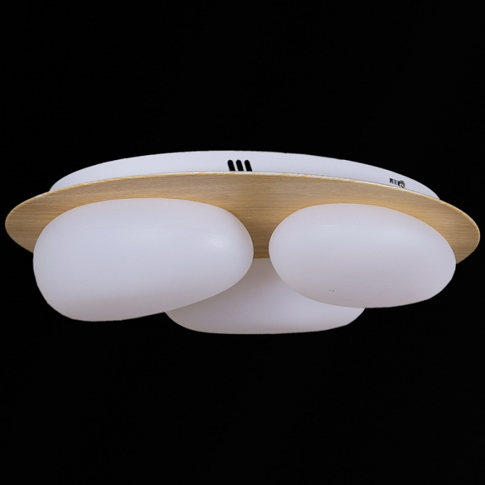 10009-0.3-60W AEROLITE_