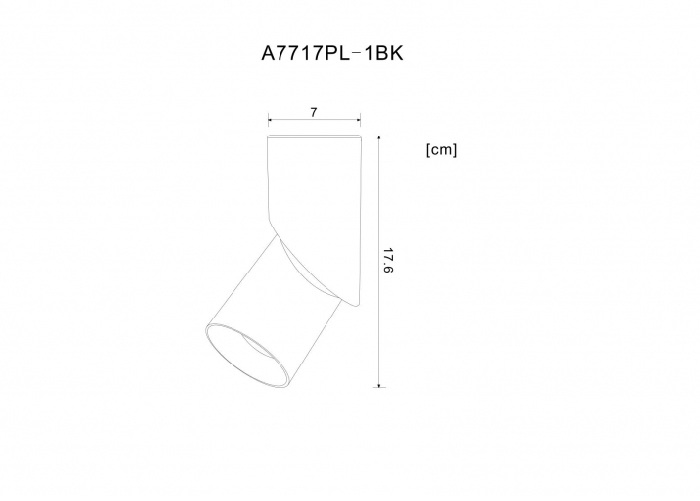 A7717PL-1BK Arte Lamp