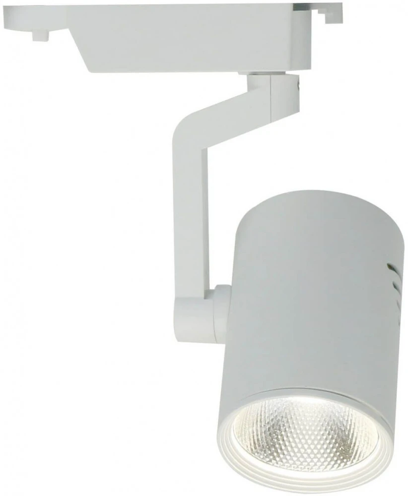 A2310PL-1WH Arte Lamp
