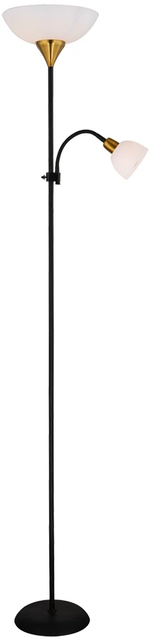 A9569PN-2BK Arte Lamp
