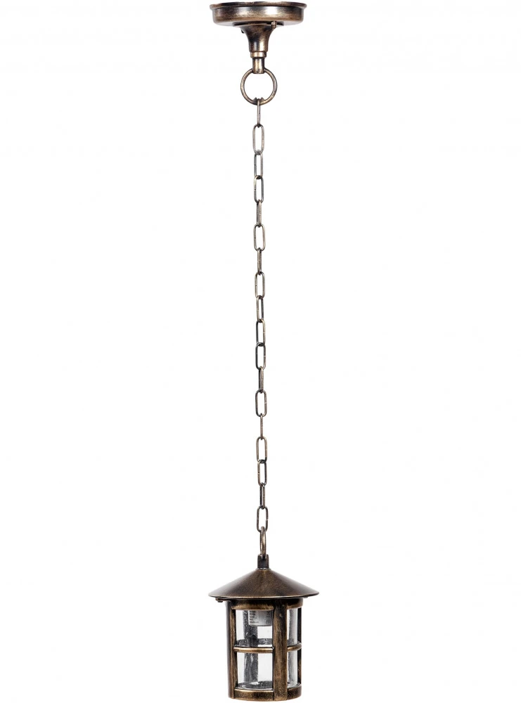 15805 Oasis Light