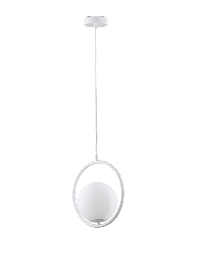 V11579-1P Moderli