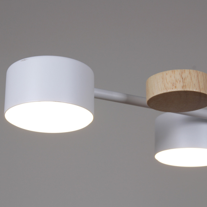 03758-0.3-10 WT+WOOD GX53_