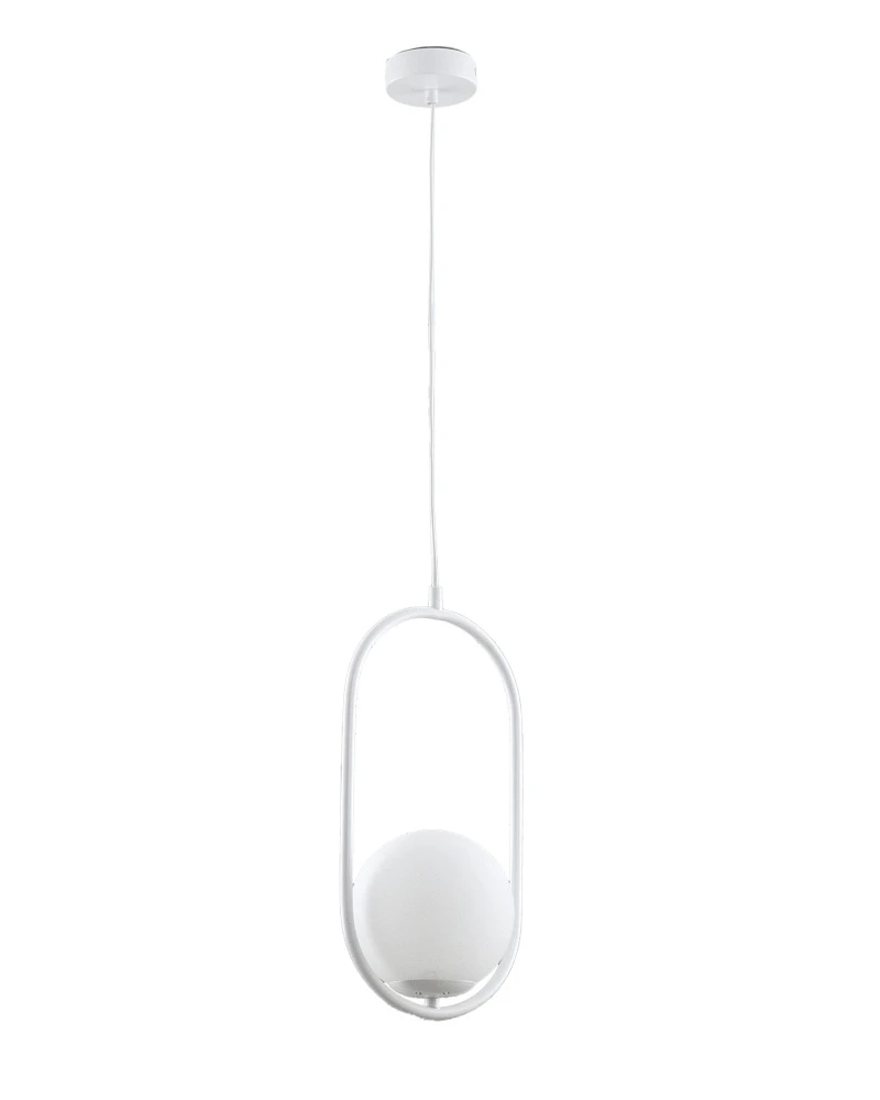 V11587-1P Moderli