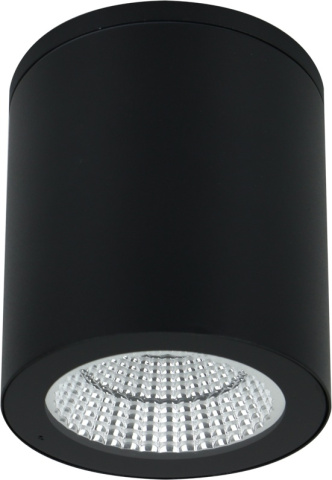 A1813PF-1BK Arte Lamp