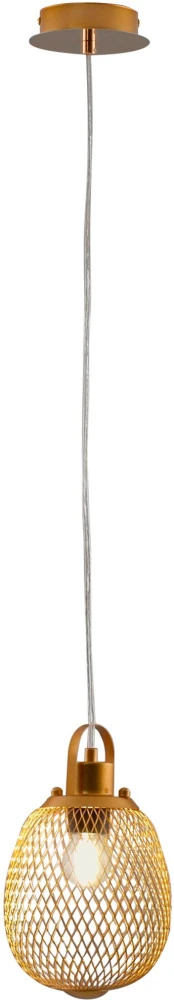 V11347-1P Moderli