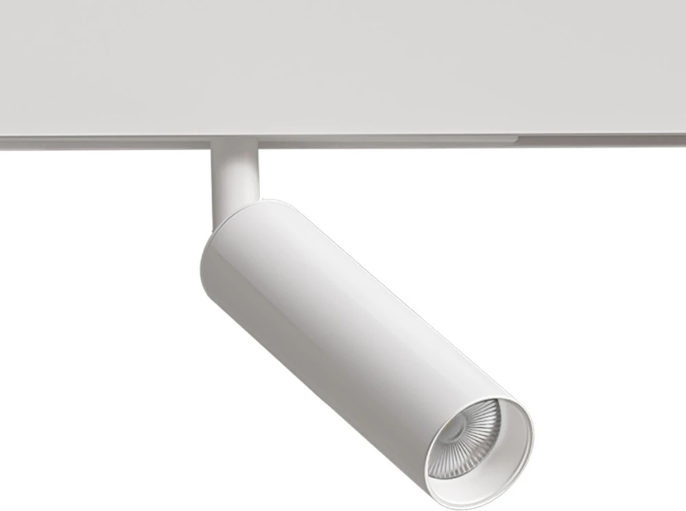 A4690PL-1WH Arte Lamp