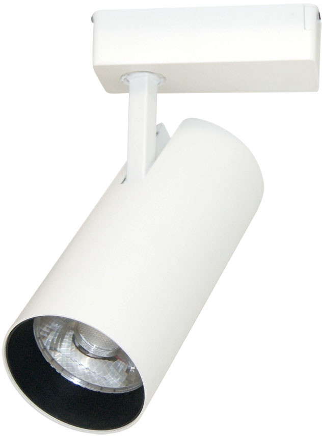 A2665PL-1WH Arte Lamp