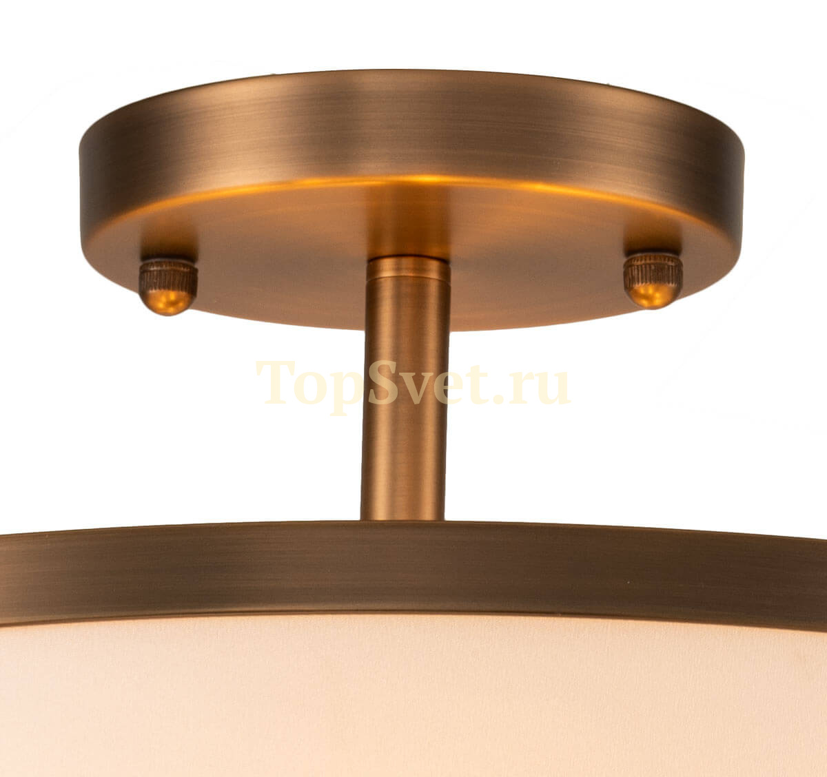 DAISY 080 PL08.coffee_