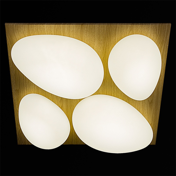 10010-0.3-80W AEROLITE_