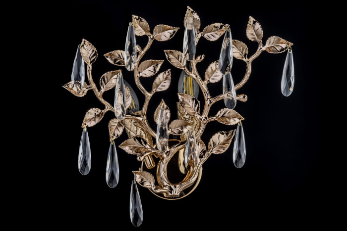 Acerra E 2.35.100 G_