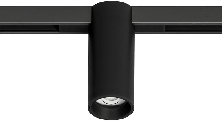 A7270PL-1BK Arte Lamp