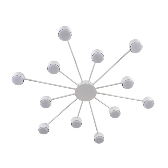 8343/12C Lumion