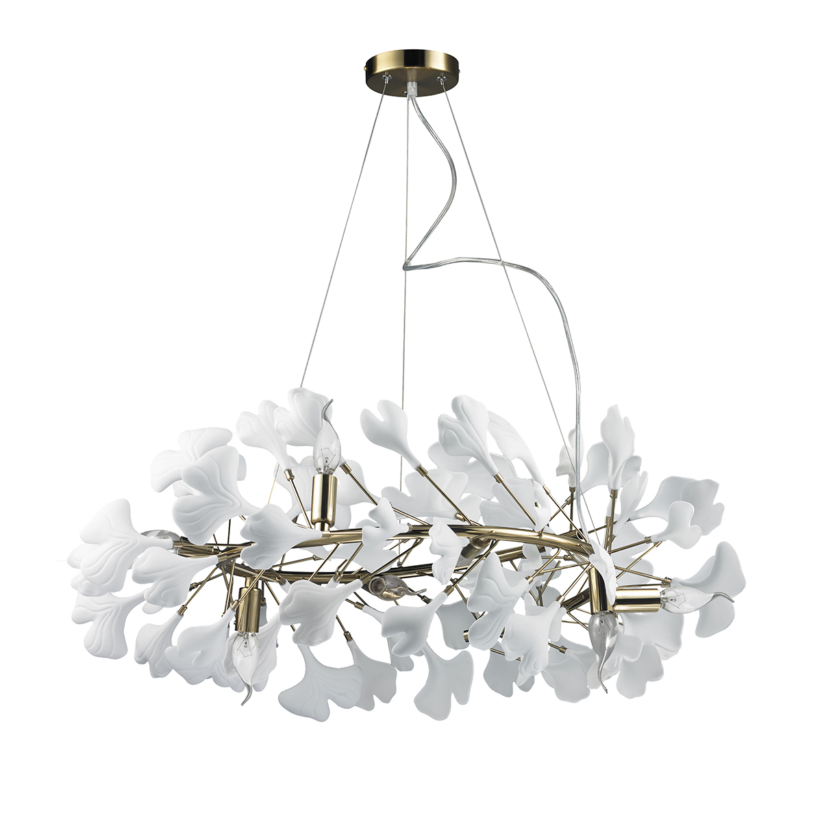 10881P/R800 gold/white Delight Collection