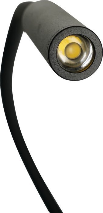 BR01358 Brizzi