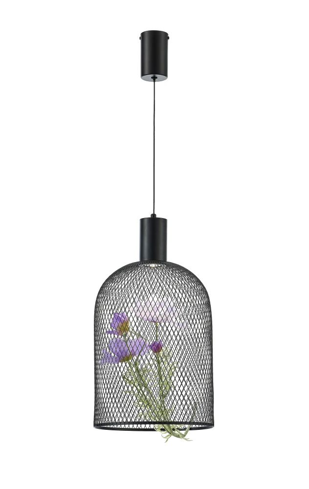 V11875-PL Moderli