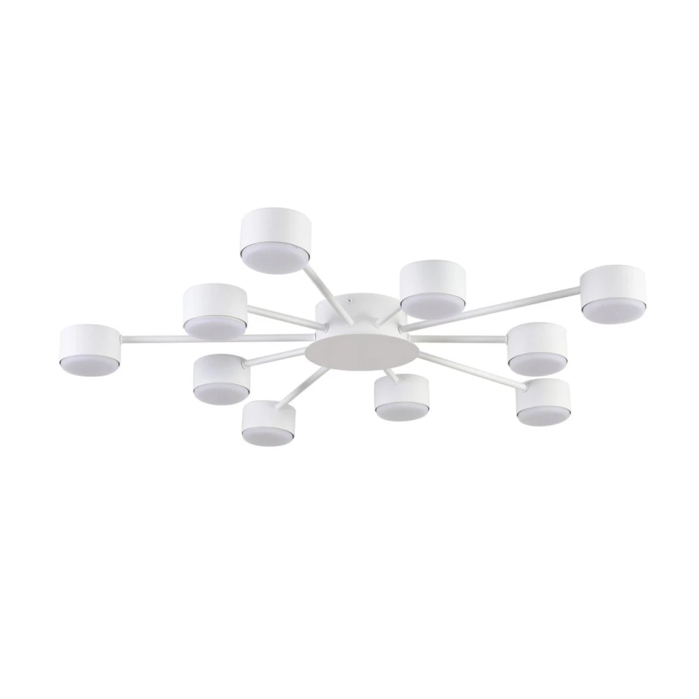 8343/10C Lumion