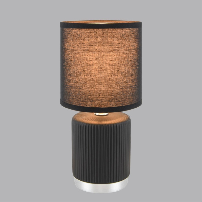 8179/1T Lumion
