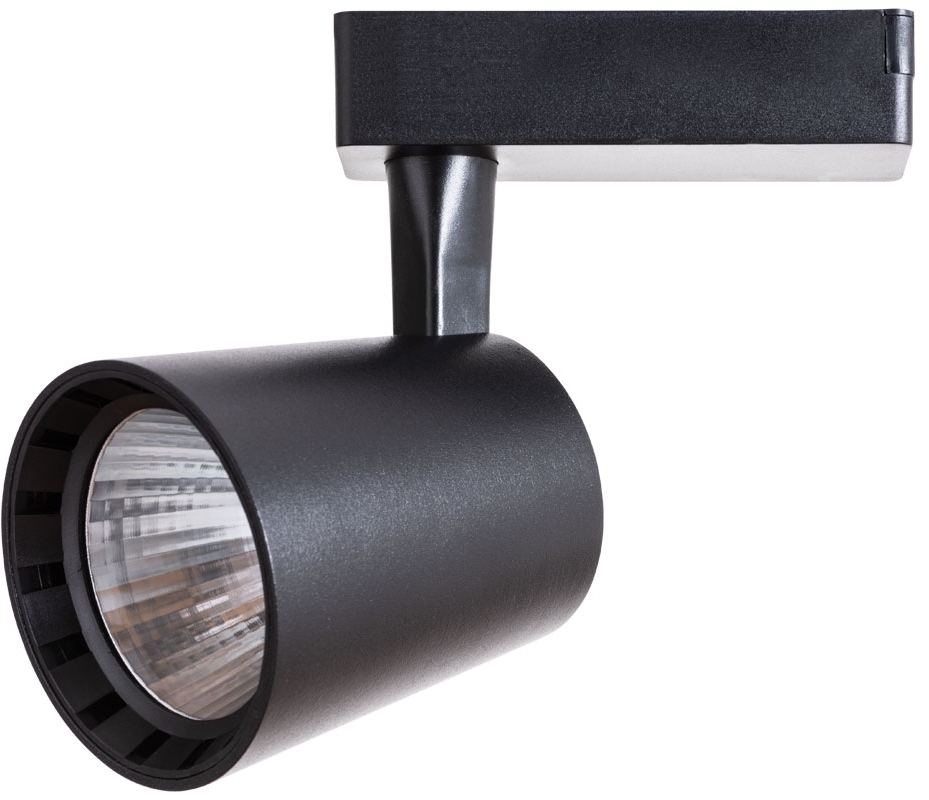 A2324PL-1BK Arte Lamp