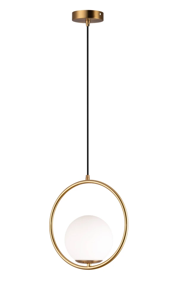 V11577-1P Moderli