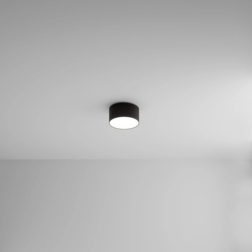 A7312PL-1BK Arte Lamp