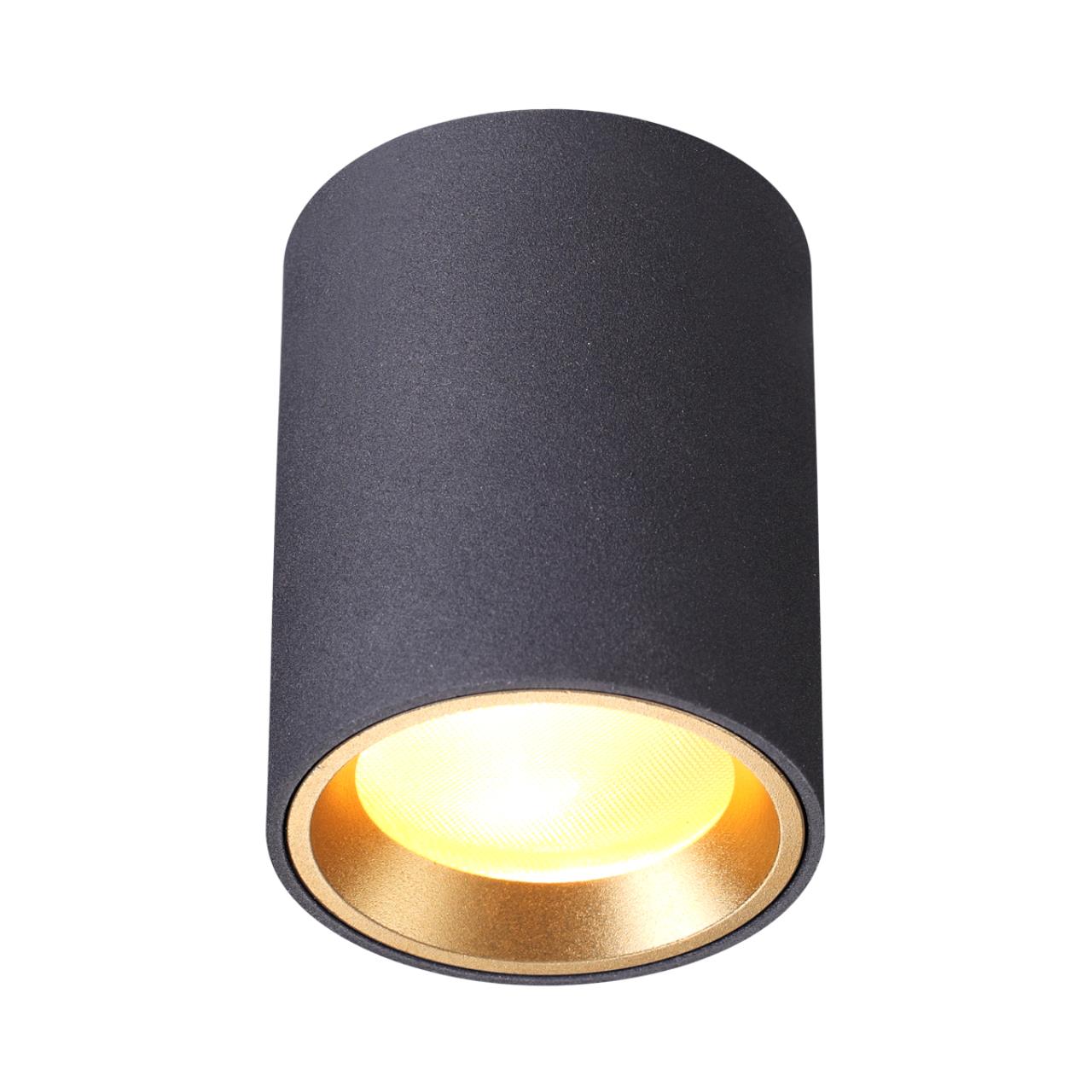 4205/1C Odeon Light