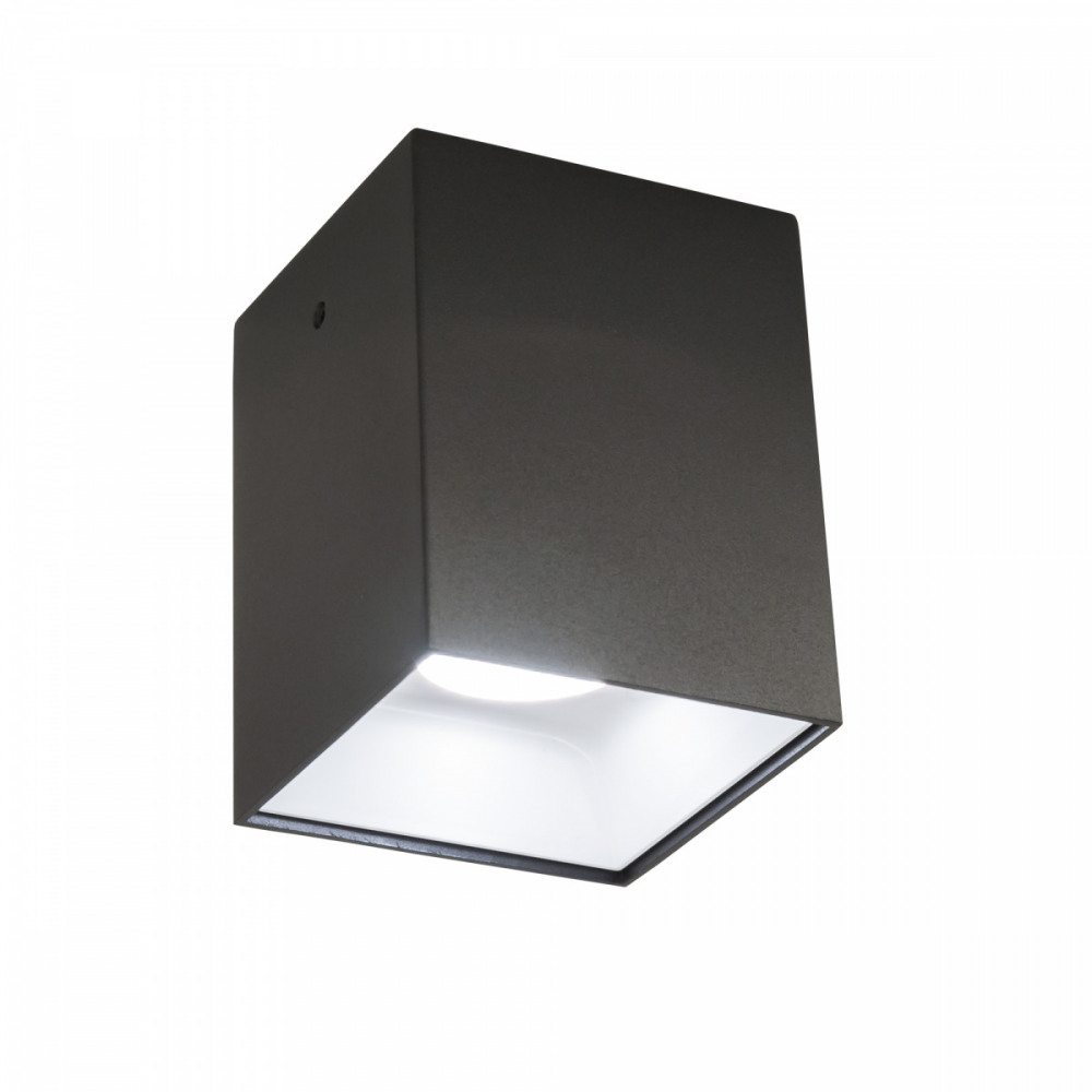 CL7440210 Citilux
