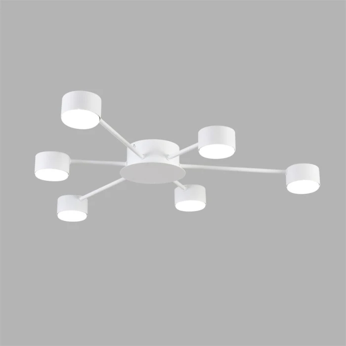 8343/6C Lumion