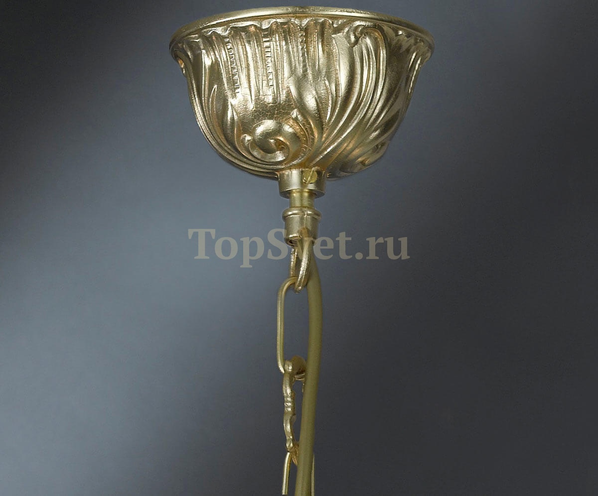 978/8S CHAMPAGNE Nervilamp